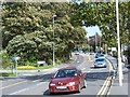 Machynlleth Road, Aberystwyth