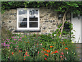 Front garden, Hennock 