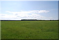 NU2126 : Farmland south of Tughall by N Chadwick