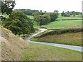 Country lane near Fridd-uchaf