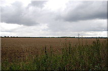 TQ6198 : Field off Thoby Lane, near Mountnessing by Julian P Guffogg