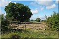 Gate From Galleywood Common