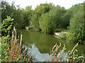 Fishing pond, Kennington Park