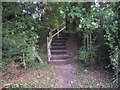 Steps near the Flitch Way Dunmow