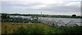 Glasshouses, Torri Nursery