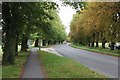 High Street through the green