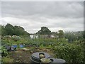 Allotments - Park Avenue