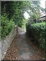 Footpath - Larkfield Drive