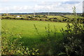 Farmland near Jeffreyston