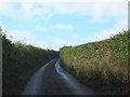 Minor road north of Hoop Cross