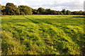 Field near Loveston