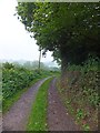 Bridleway to Ashliford farm