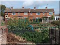 Vegetable gardens and backs of houses from Plumbley Lane