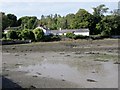 Houses at the south-western end of Castleward Bay