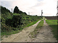 TF6113 : Farm track alongside railway line, Wiggenhall St Peter by Evelyn Simak