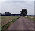 Track to Large Farm