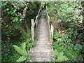 Wooden footbridge in bushes