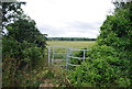 Kissing gate near Birling