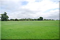 Meadow, Birling Lodge Farm