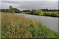 The Thames near Radley