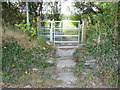 Worn steps on the kissing gate in Cilgerran