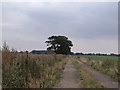 Track at the end of Moor Lane