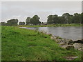 Woody Island and River Tay