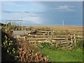 Old sheep pens, Lochton