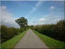 TA0838 : Drove Lane towards Carr House by Ian S