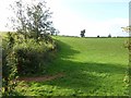 Field near Castlake Farm