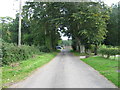 Road south of Almer