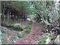 Path through woods near Coombe Court