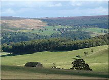 SK2369 : A Chatsworth estate view by Andrew Hill