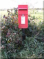 TM3439 : Ferry Road Postbox by Geographer