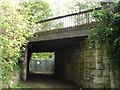 Railway Bridge Behind Hermitage Mill