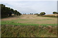 TQ8127 : Field at  edge of the Rother flood plain by Julian P Guffogg