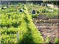 Cemetery Allotments, Clevedon