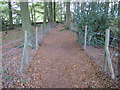 SK3261 : Footpath through wood near Lant Lodge Farm by Chris Wimbush