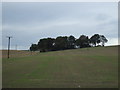 Farmland off Purston Lane