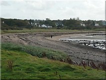 NT4477 : Beach at Longniddry by Russel Wills