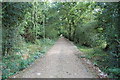 Bridleway to Old Priory, near Rushlake Green