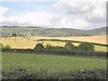 ST1531 : Farmland, near Combe Florey by Roger Cornfoot