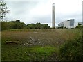 Calshot, wetland