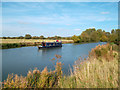 SP4305 : River Thames Below Bablock Hythe by Des Blenkinsopp