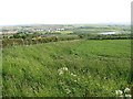 Arable land, Camphill