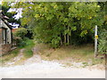 Footpath to Butley Low Corner & Five Cross Ways