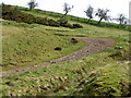 Path near Whitchester Lodge