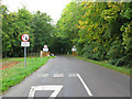 View along The Avenue to Stanton Fitzwarren