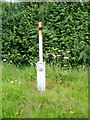 Pipeline marker post near Defynnog