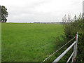 Grass fields on Reddown Hill